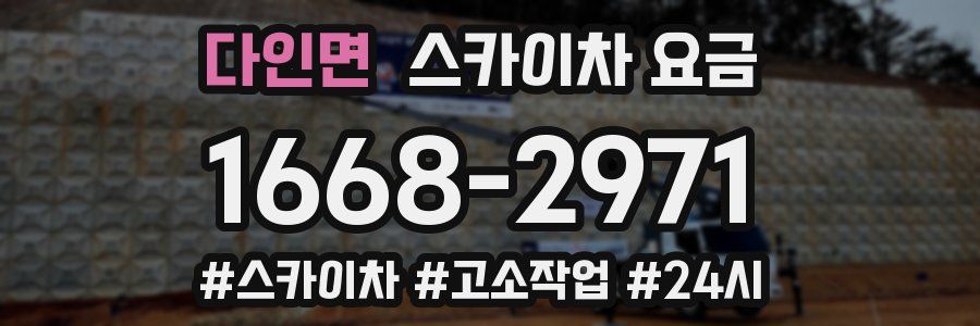 다인면 스카이차 요금