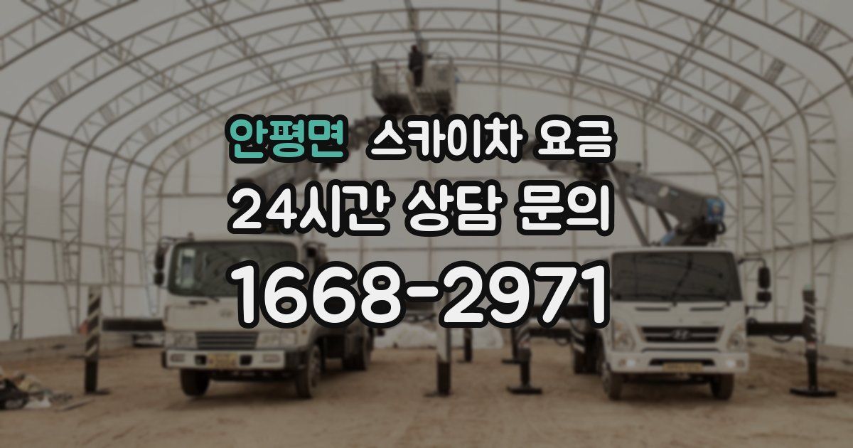 안평면 스카이차 요금