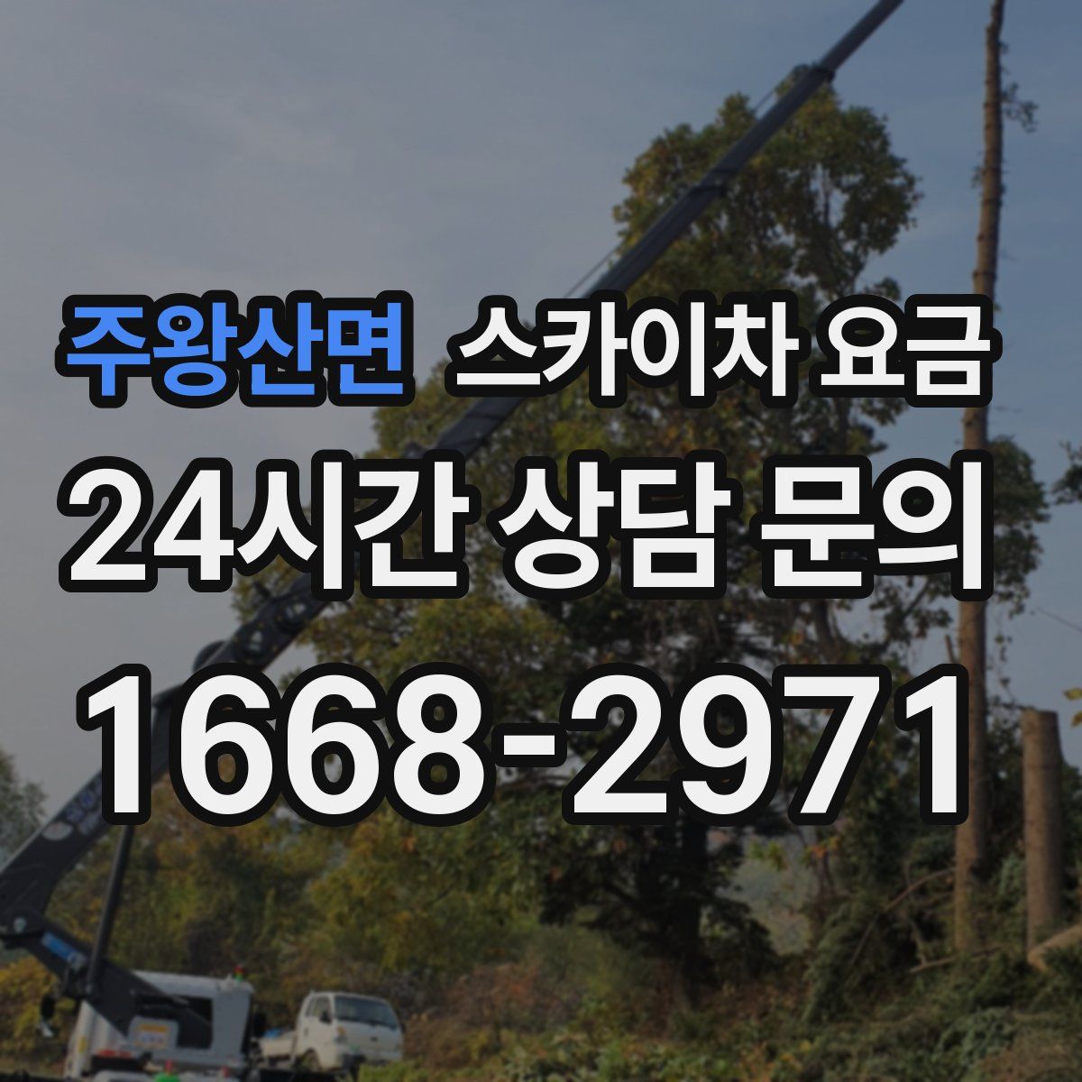 주왕산면 스카이차 요금