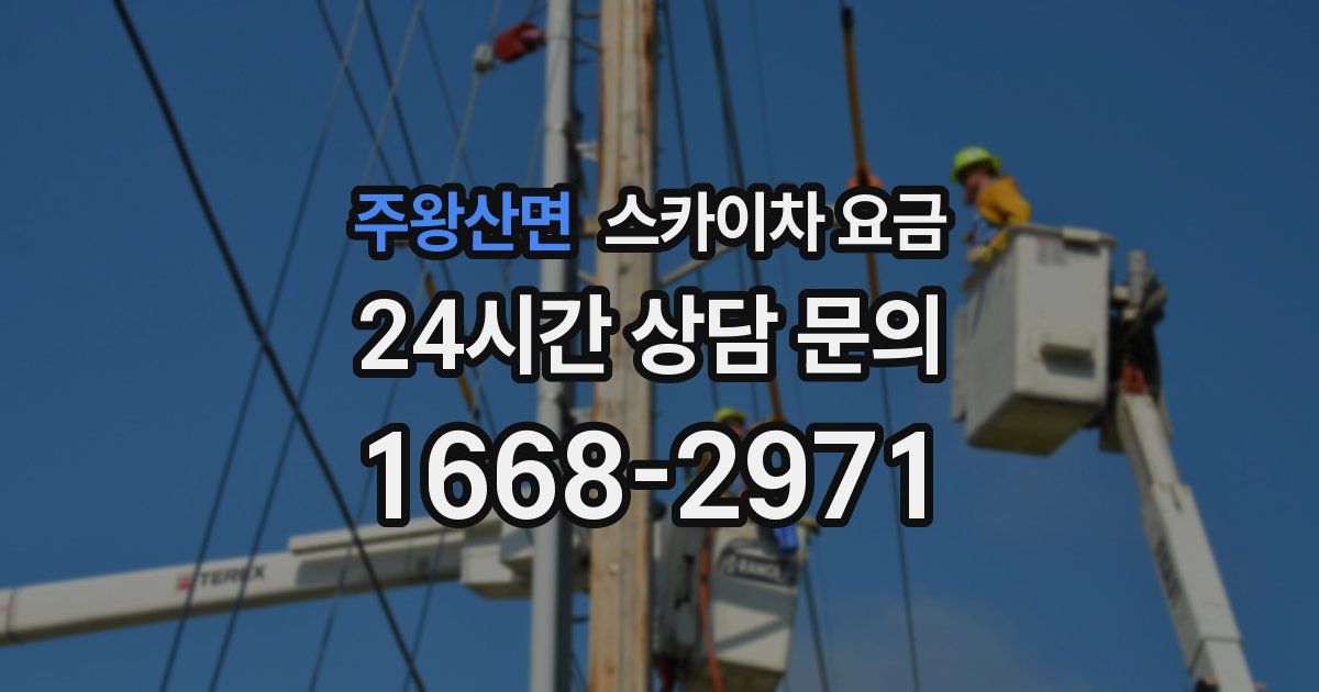 주왕산면 스카이차 요금
