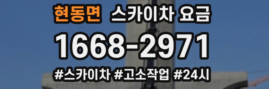 현동면 스카이차 요금