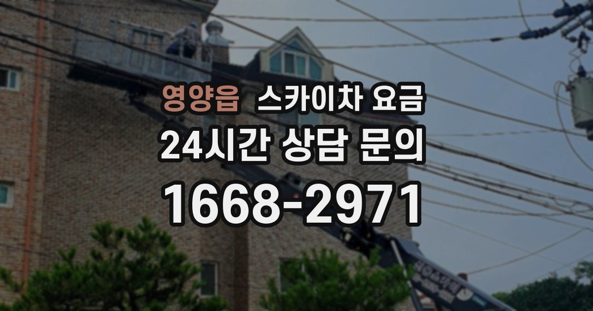 영양읍 스카이차 요금