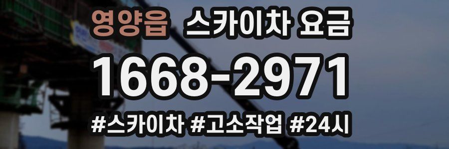 영양읍 스카이차 요금