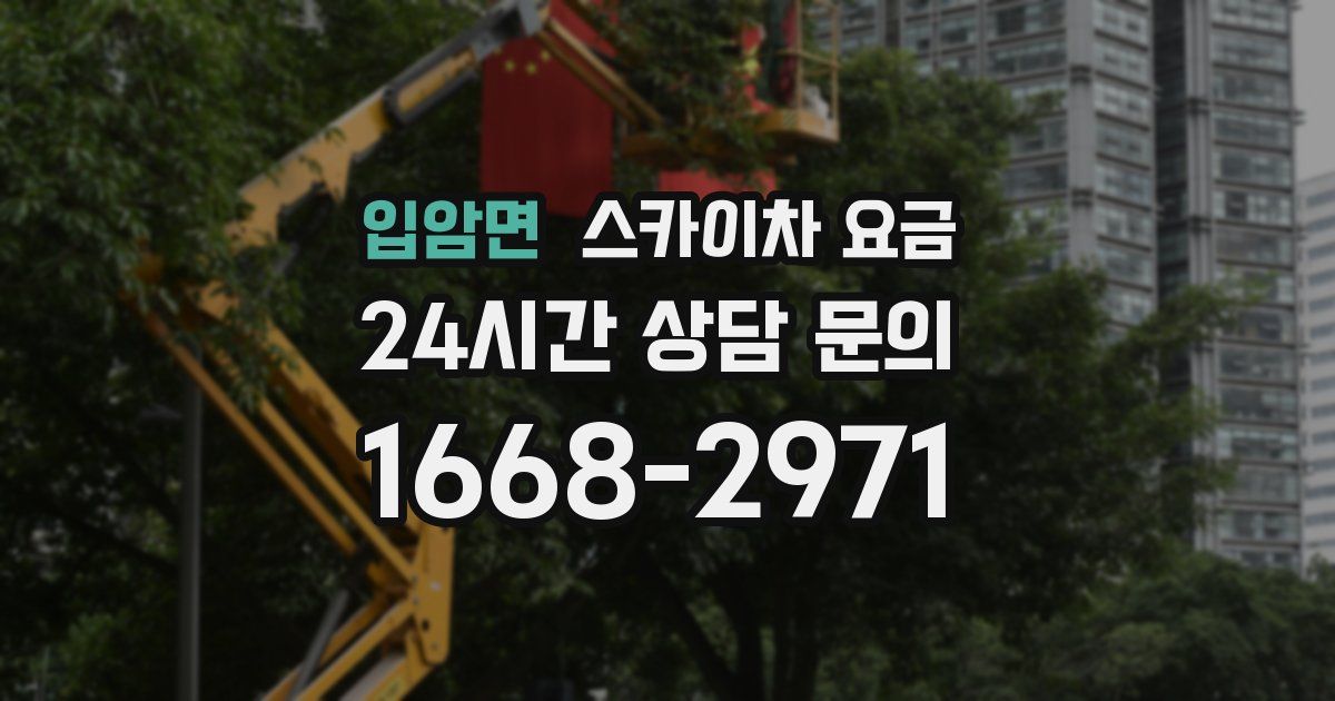 입암면 스카이차 요금
