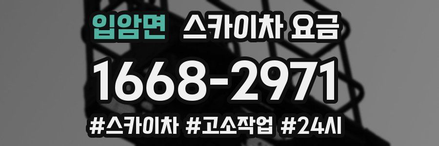 입암면 스카이차 요금