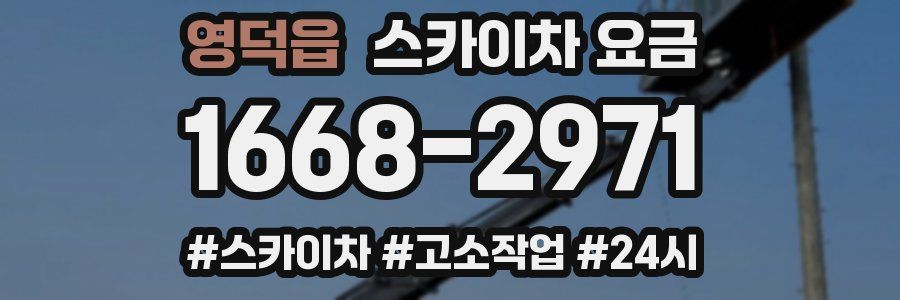 영덕읍 스카이차 요금