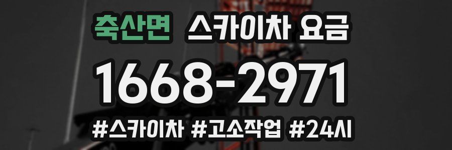 축산면 스카이차 요금