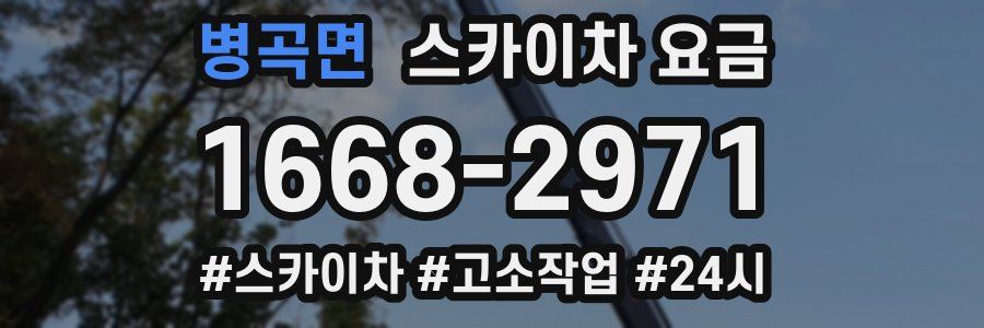 병곡면 스카이차 요금