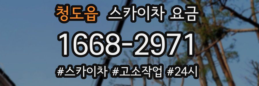 청도읍 스카이차 요금