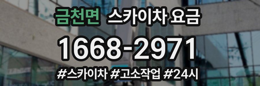 금천면 스카이차 요금