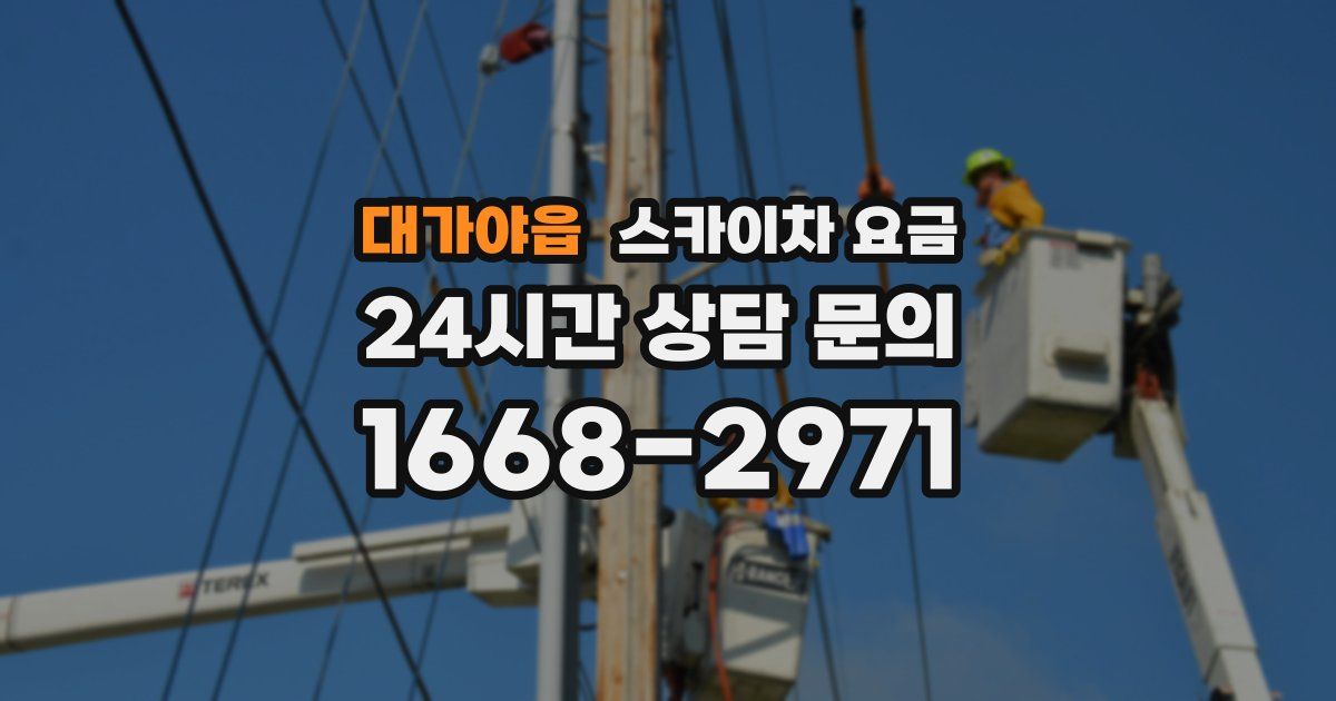대가야읍 스카이차 요금