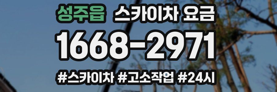 성주읍 스카이차 요금