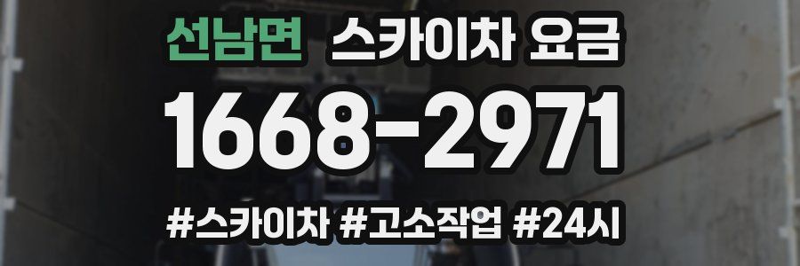 선남면 스카이차 요금