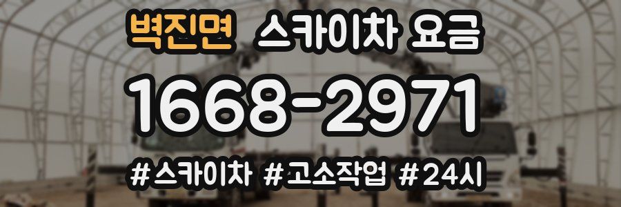 벽진면 스카이차 요금