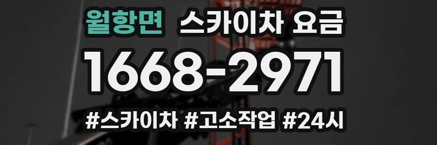 월항면 스카이차 요금