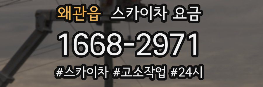 왜관읍 스카이차 요금