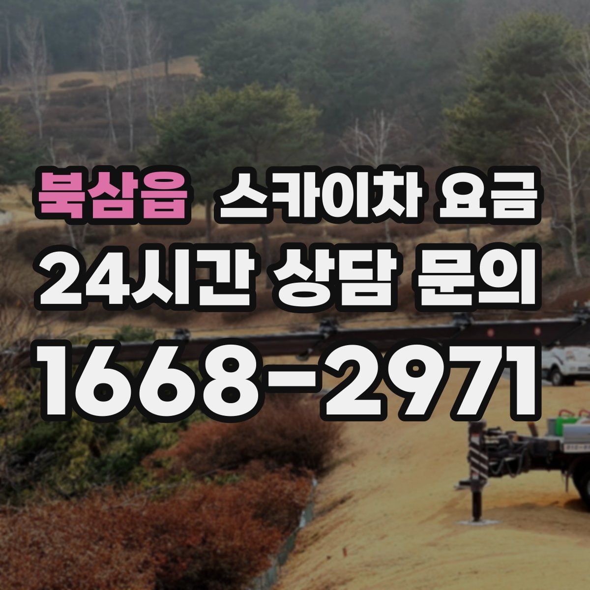 북삼읍 스카이차 요금