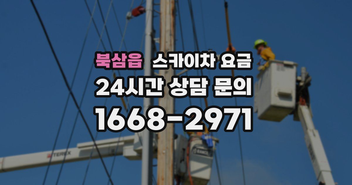 북삼읍 스카이차 요금