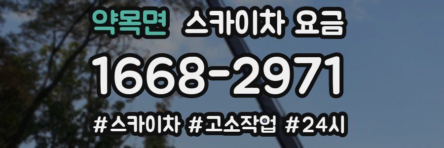 약목면 스카이차 요금