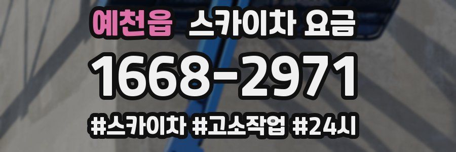 예천읍 스카이차 요금