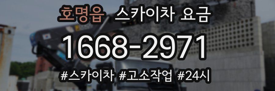 호명읍 스카이차 요금