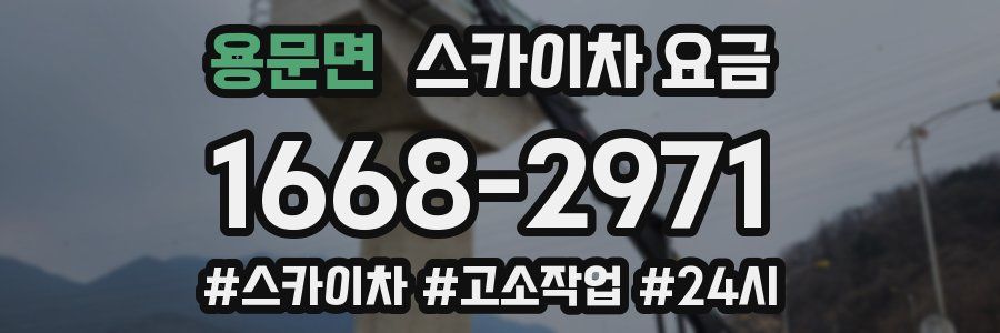 용문면 스카이차 요금