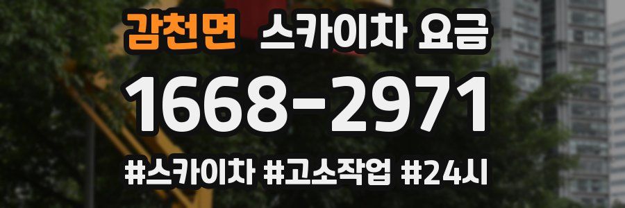 감천면 스카이차 요금
