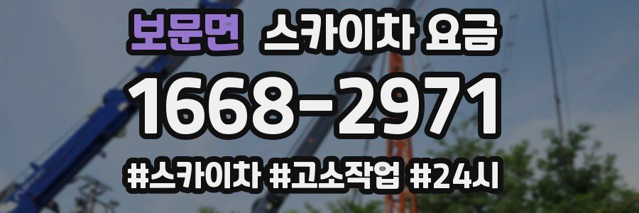보문면 스카이차 요금