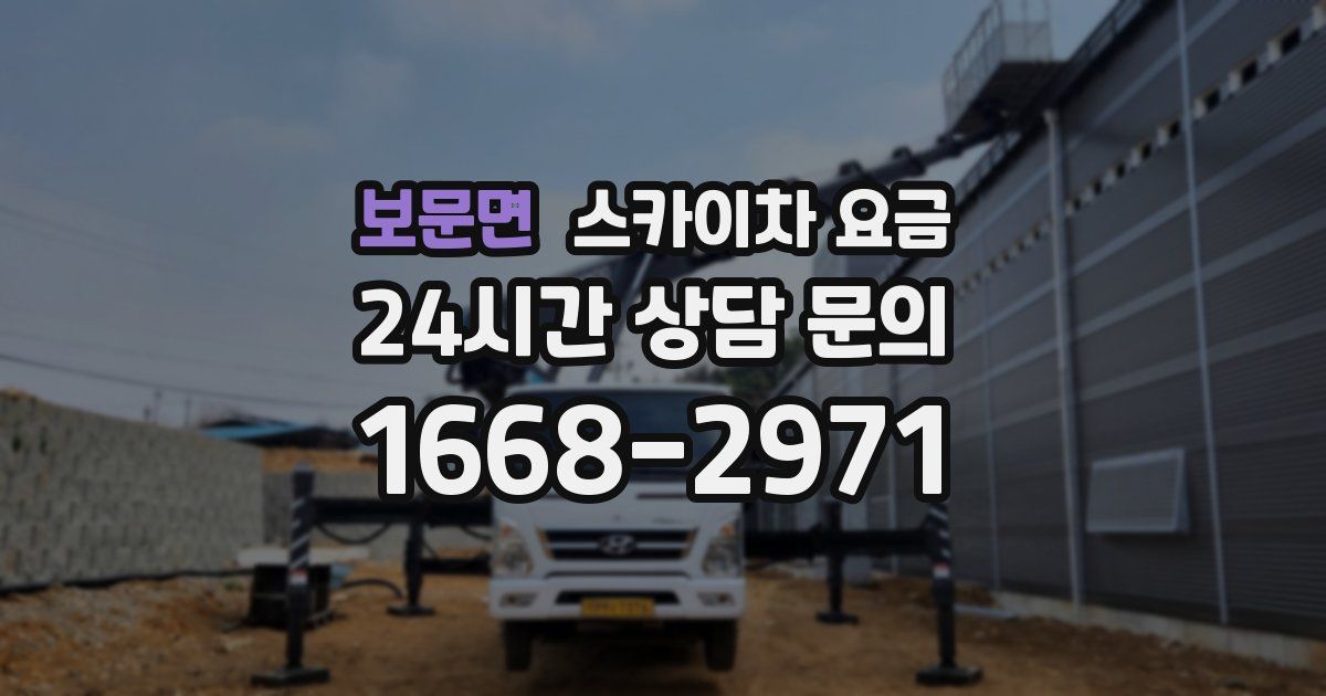 보문면 스카이차 요금