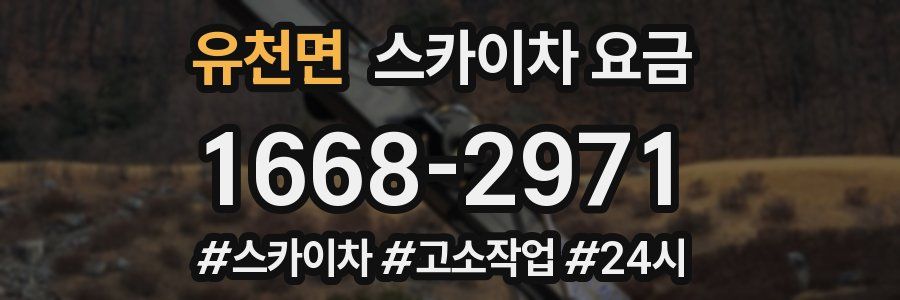 유천면 스카이차 요금