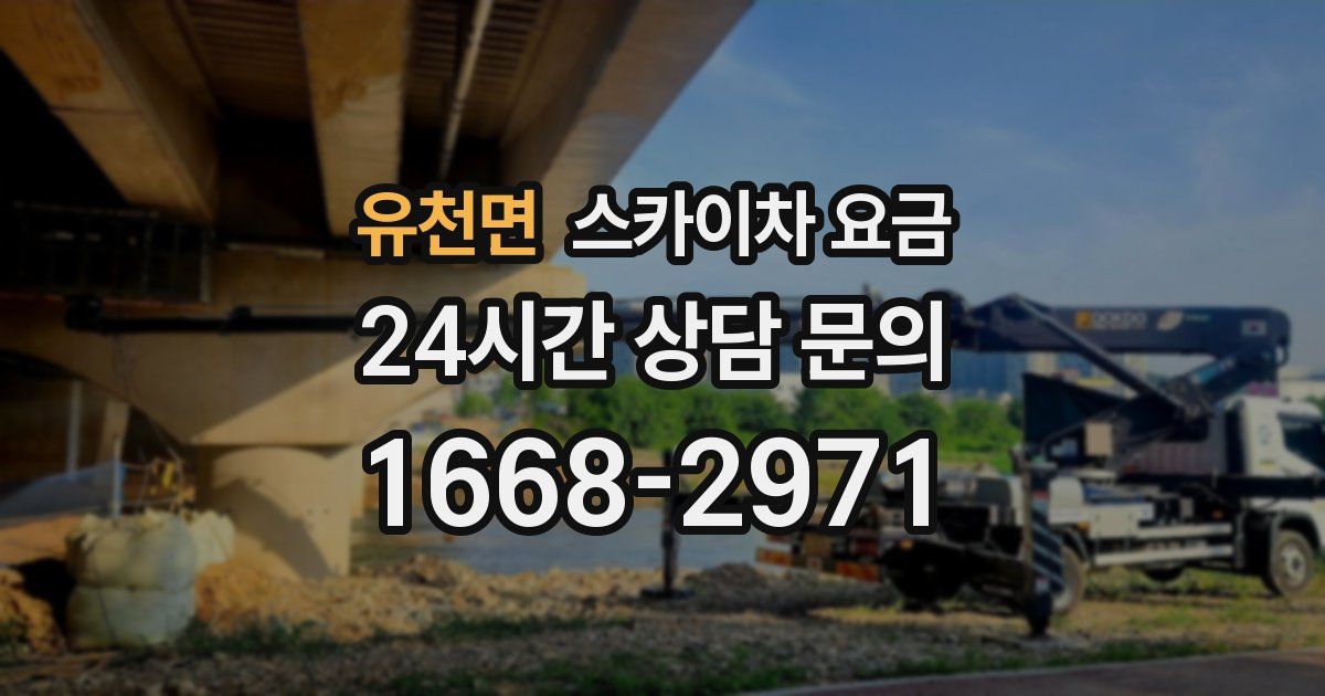 유천면 스카이차 요금