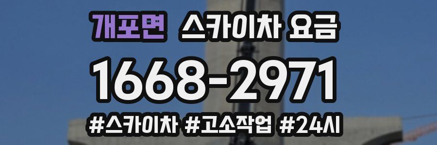 개포면 스카이차 요금