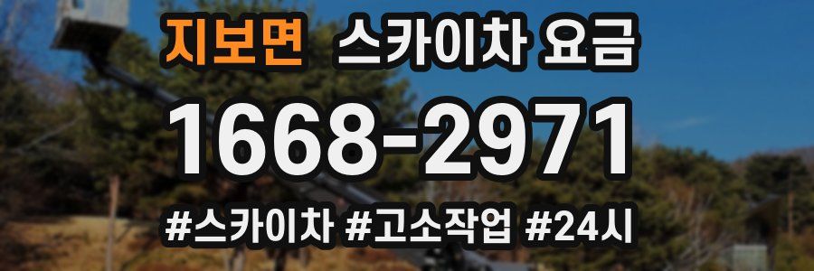 지보면 스카이차 요금