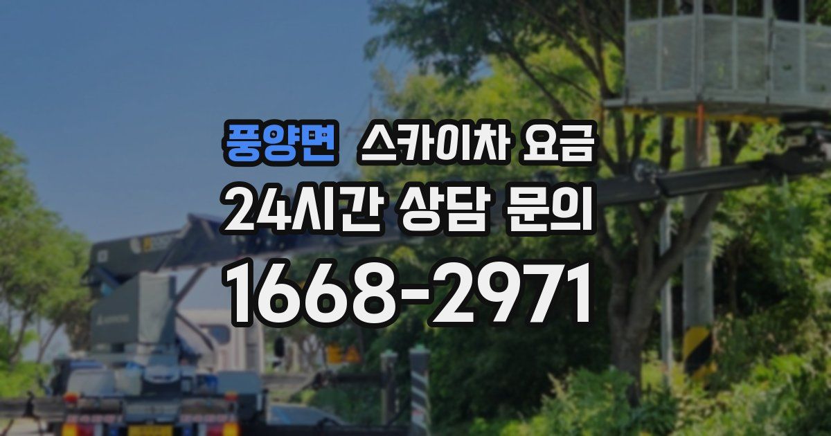 풍양면 스카이차 요금