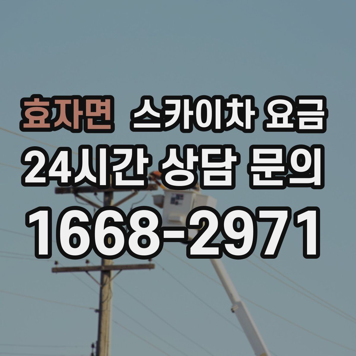 효자면 스카이차 요금