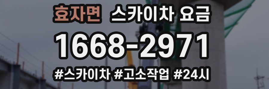 효자면 스카이차 요금