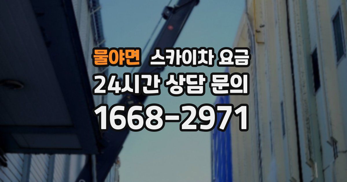물야면 스카이차 요금