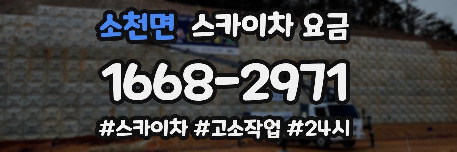소천면 스카이차 요금