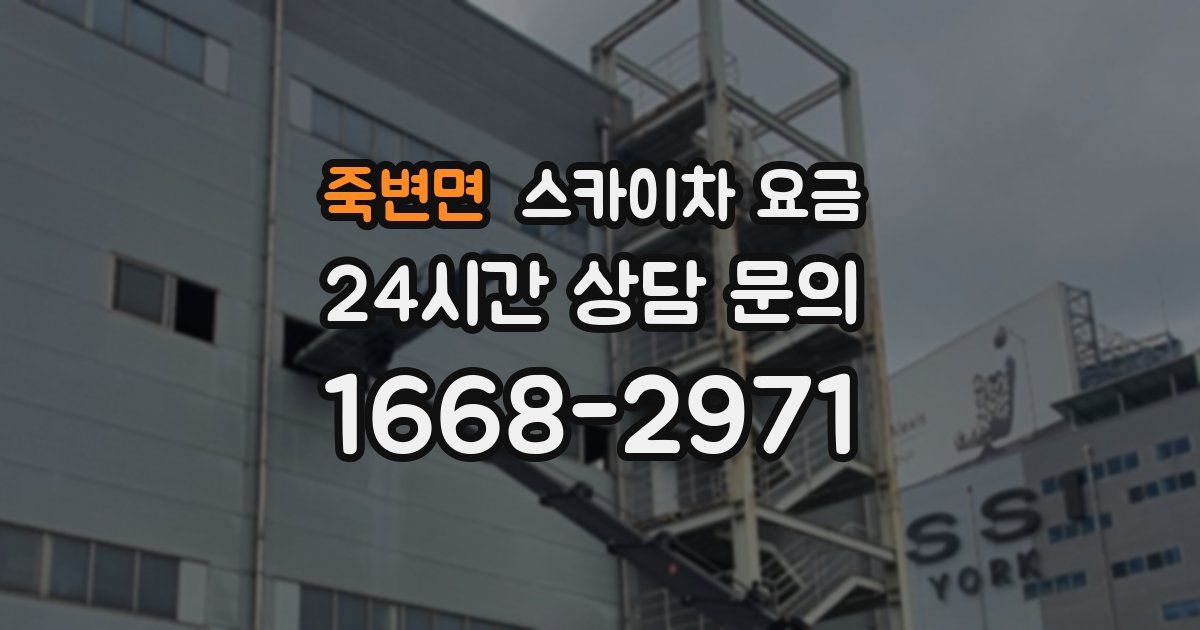 죽변면 스카이차 요금