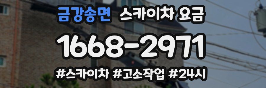 금강송면 스카이차 요금