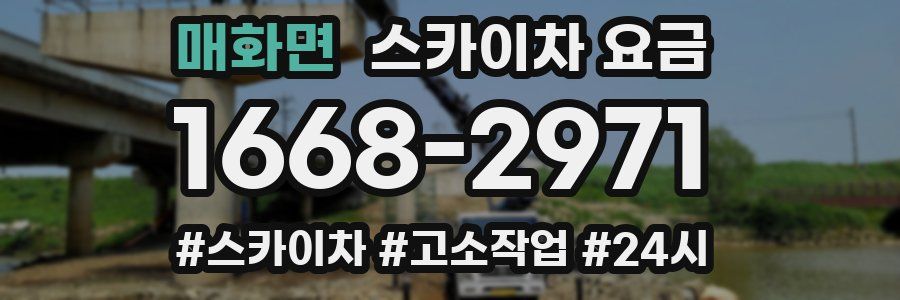 매화면 스카이차 요금