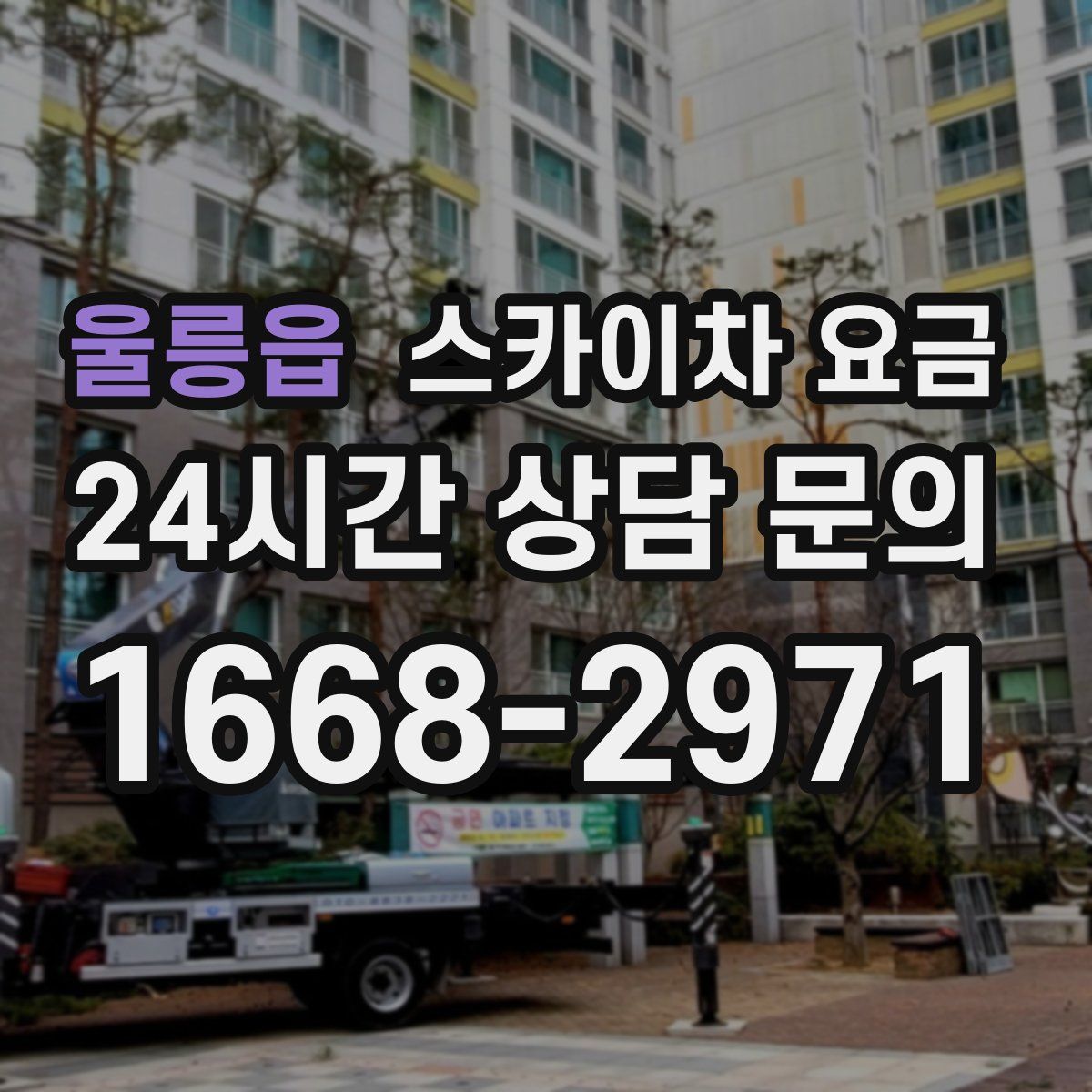 울릉읍 스카이차 요금