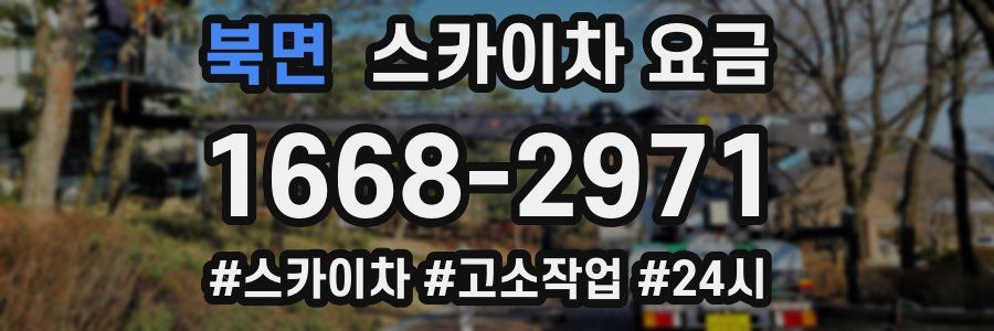 북면 스카이차 요금
