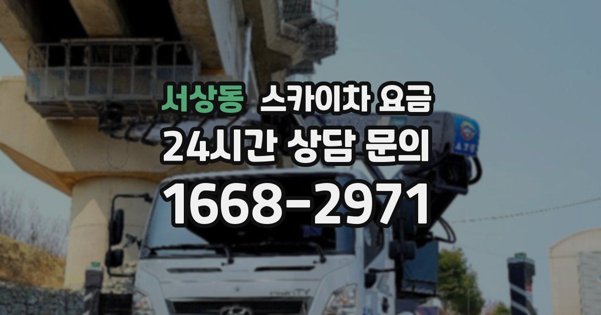 서상동 스카이차 요금