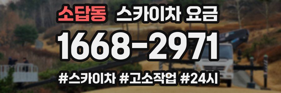 소답동 스카이차 요금