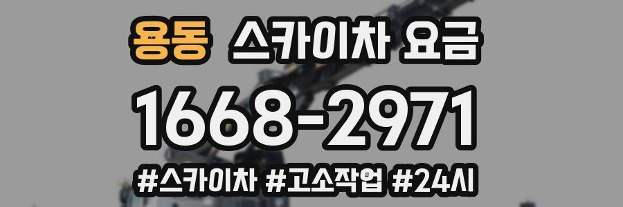 용동 스카이차 요금