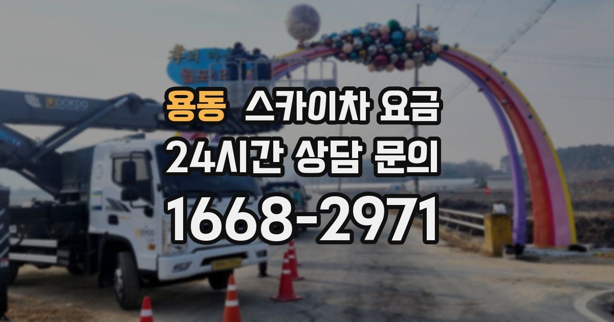 용동 스카이차 요금