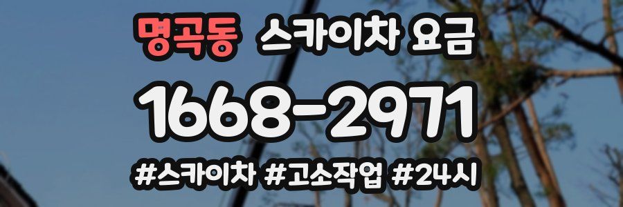 명곡동 스카이차 요금