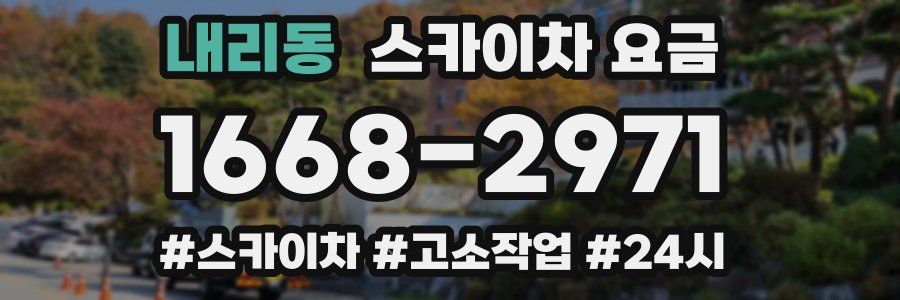 내리동 스카이차 요금
