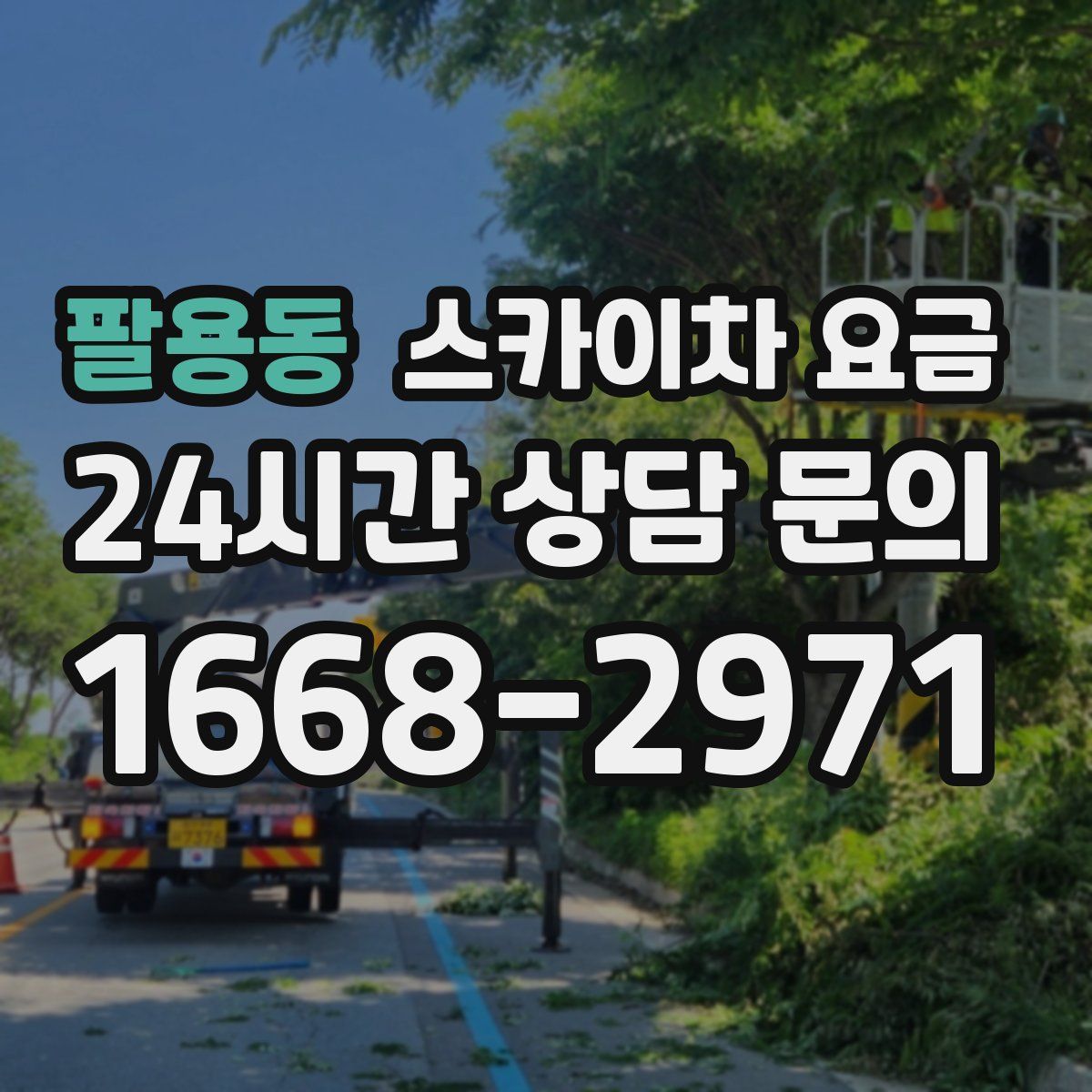 팔용동 스카이차 요금